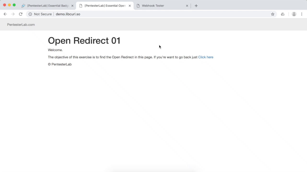 image of exercise Open Redirect 01