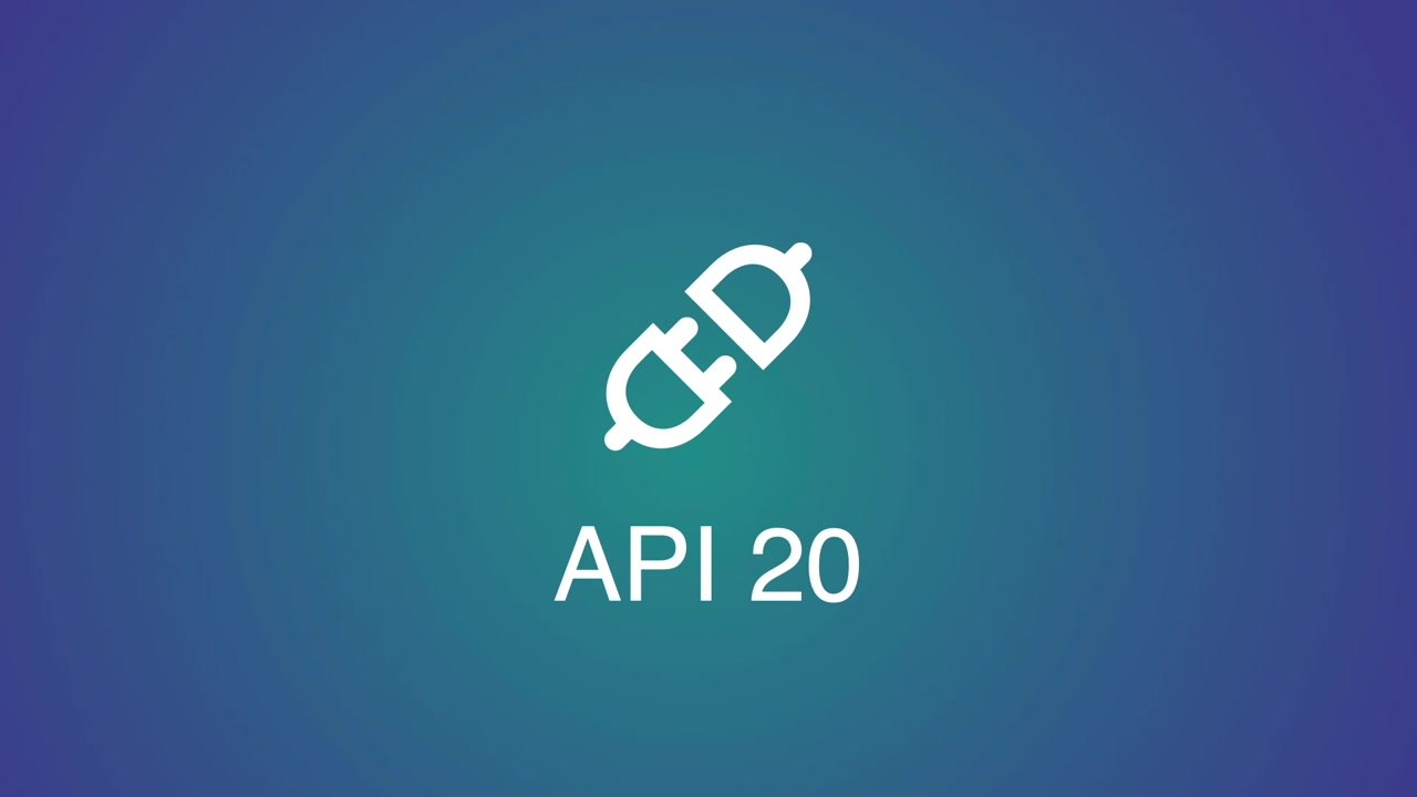image of exercise API 20: Exploitation