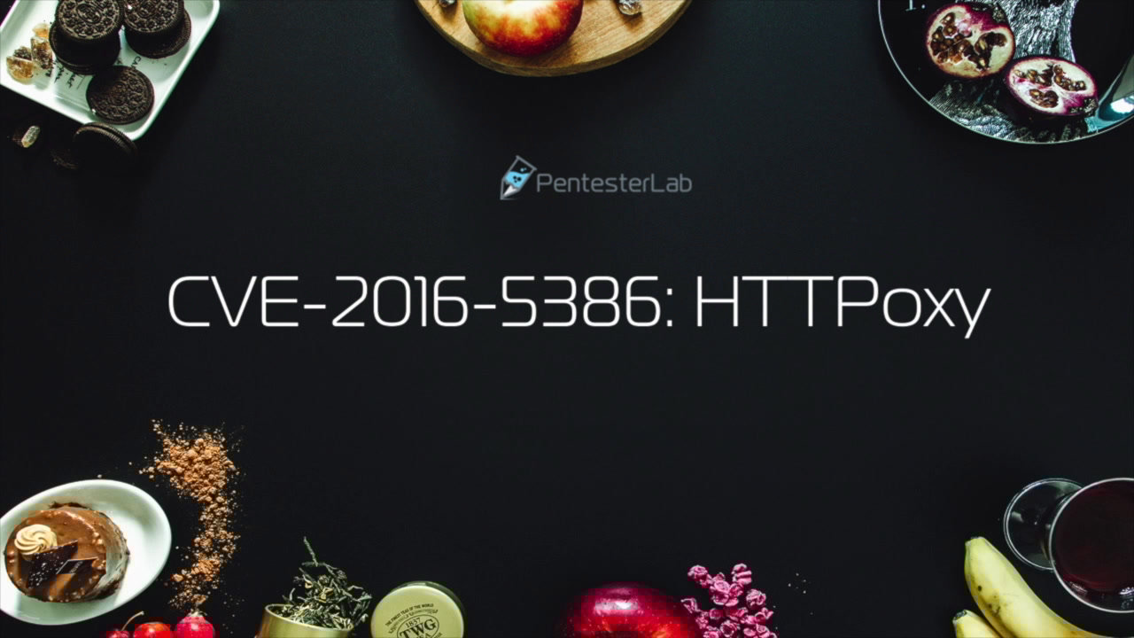 image of exercise CVE-2016-5386/HTTPoxy: exploitation