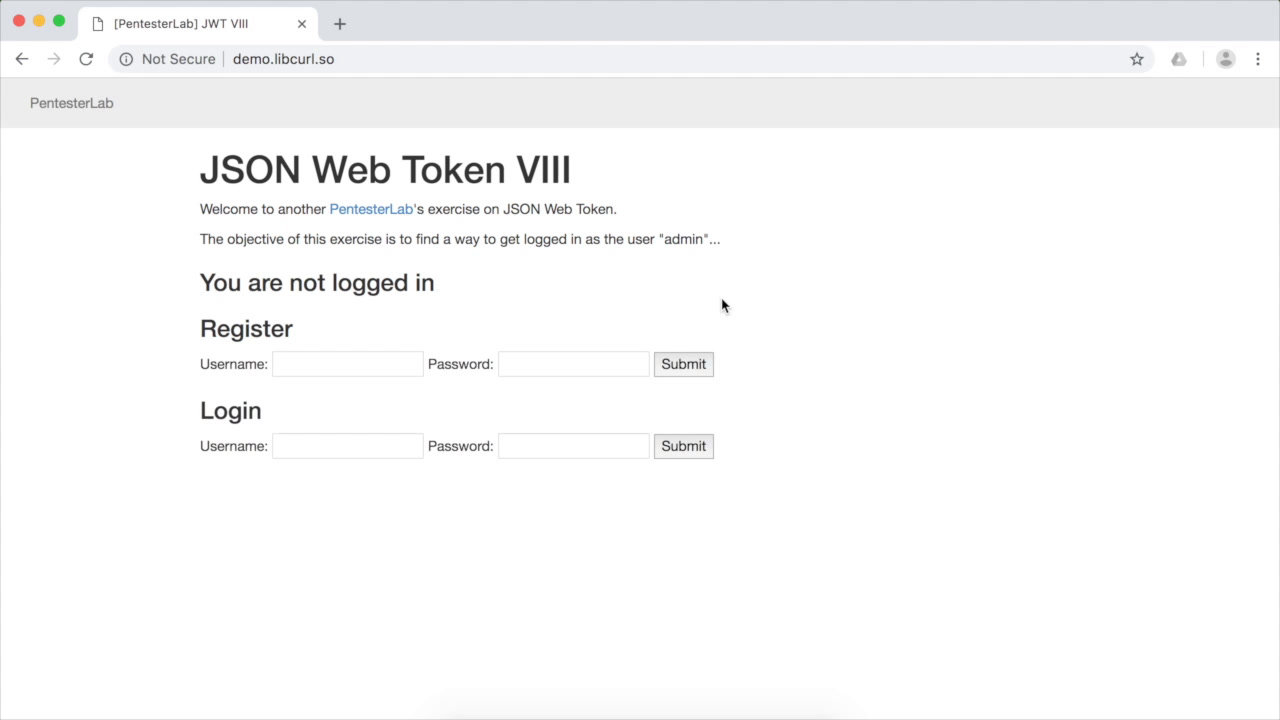 image of exercise JWT VIII - Exploitation