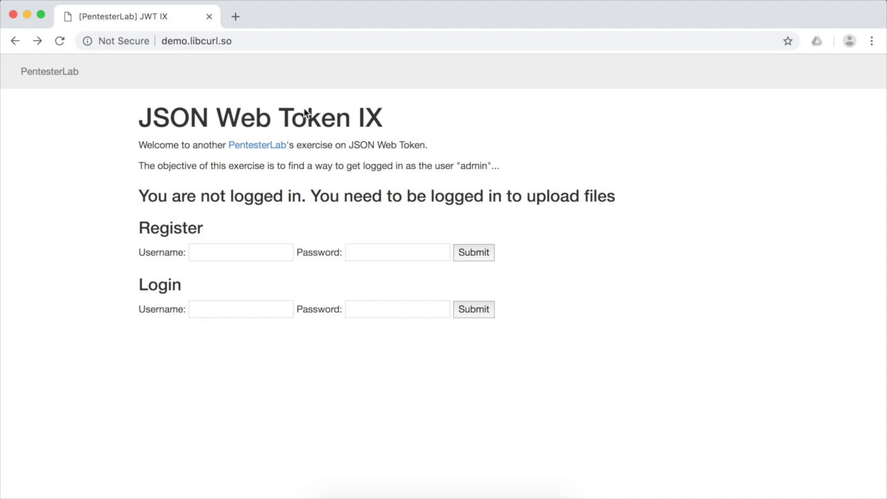 image of exercise JWT IX - Exploitation