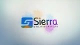 Professional Ink Corporate Logo Reveal – Logo Animation