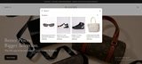 build a Professional Shopify Web Store