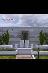 Design the villa and the landscape by revit and enscape