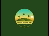 Transform Your Brand with a Strategic Custom Logo Design!