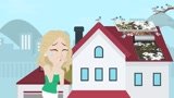Create 2D Whiteboard Explainer Animated Video For Your Business