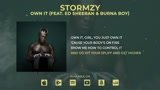 Make a stunning lyric video with visualizer