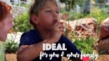 Edit your video footage professionally