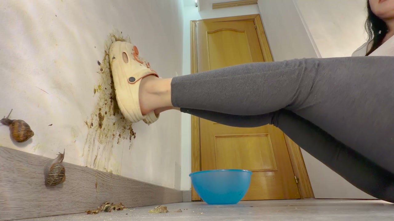 5137 Wall Smash 7 Preview