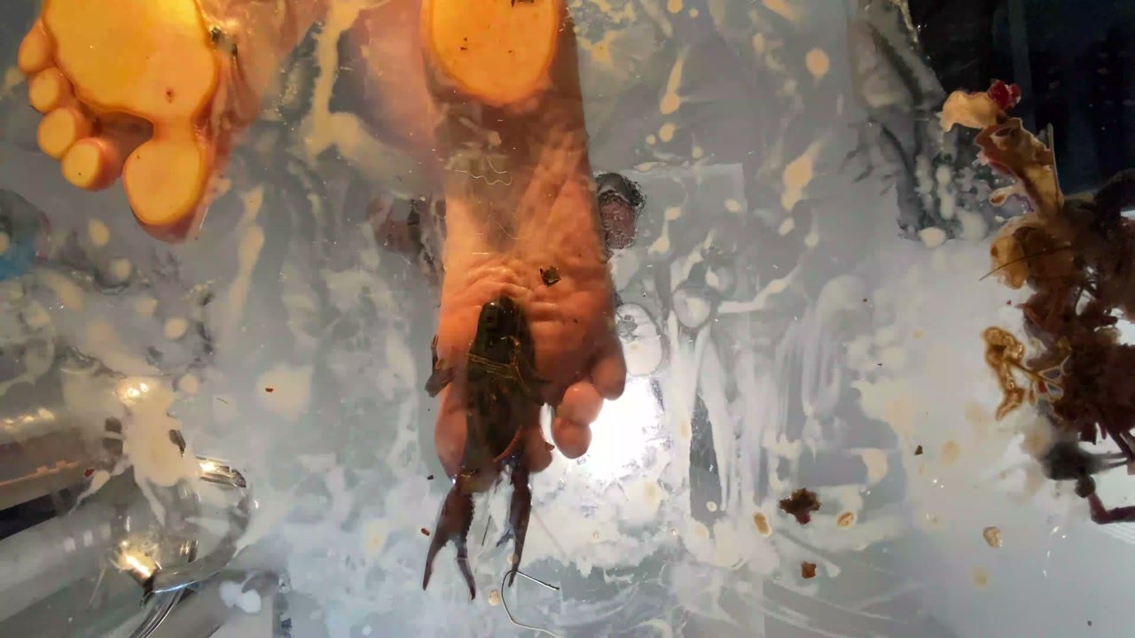 8053 Underglass Craws 4 Preview